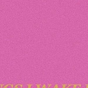 Meet your Posher, Maddie